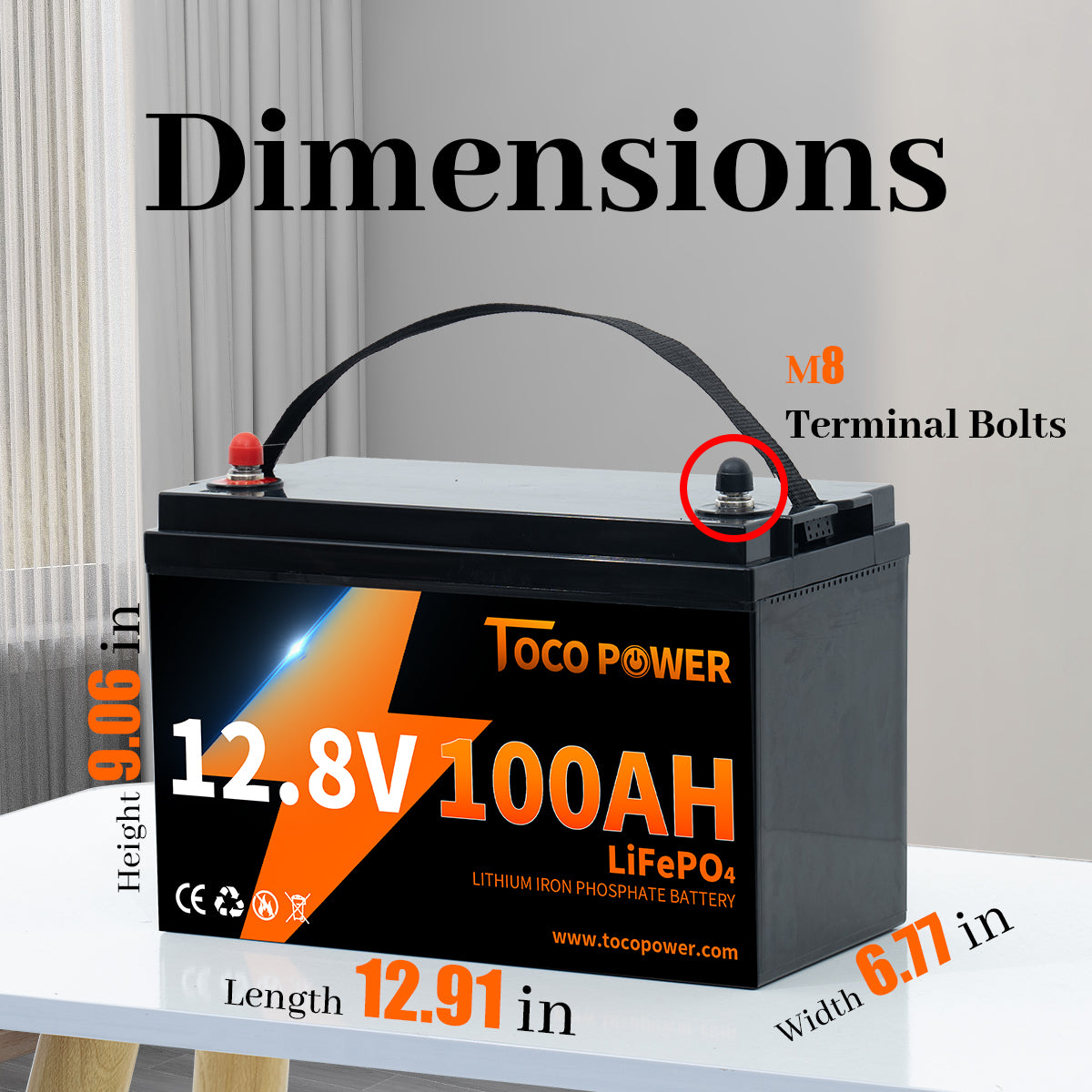 Tocopower 12V 100Ah LiFePO4 Lithium Battery